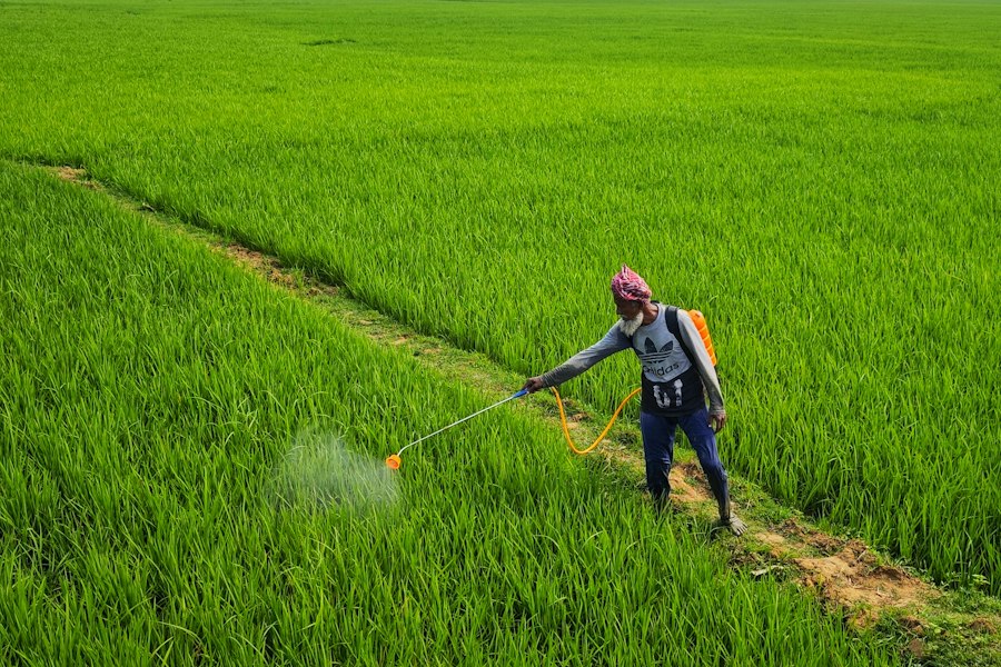 Persona fumigando un cultivo